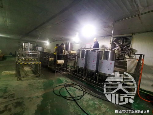 豆腐皮生產(chǎn)線(xiàn)設(shè)備與辦公設(shè)備及消耗品 生產(chǎn)與管理的雙重效能解析